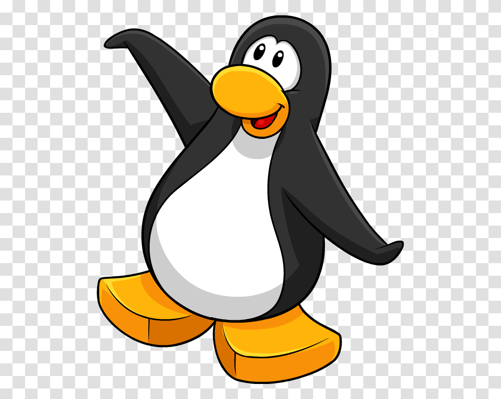 Twinkie Club Penguin Black Penguin, Bird, Animal, King Penguin Transparent Png