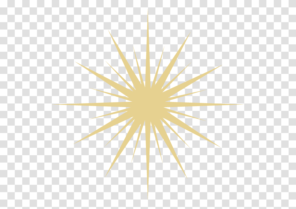 Twinkle Star Darkness, Insect, Invertebrate, Animal, Spider Transparent Png