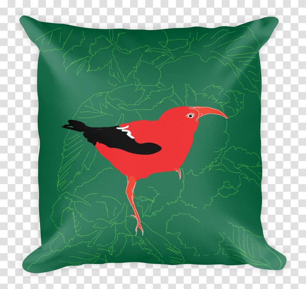 Twinkle Twinkle Quotes On Pillows, Cushion, Bird, Animal, Hummingbird Transparent Png