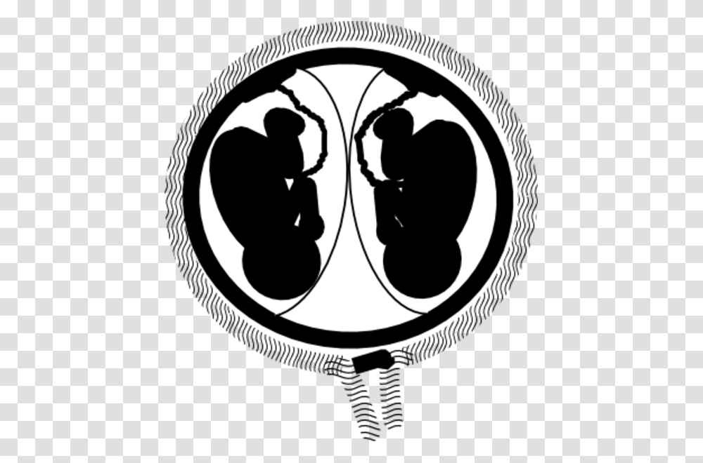 Twins In Womb Clipart, Stencil, X-Ray, Medical Imaging X-Ray Film, Ct Scan Transparent Png