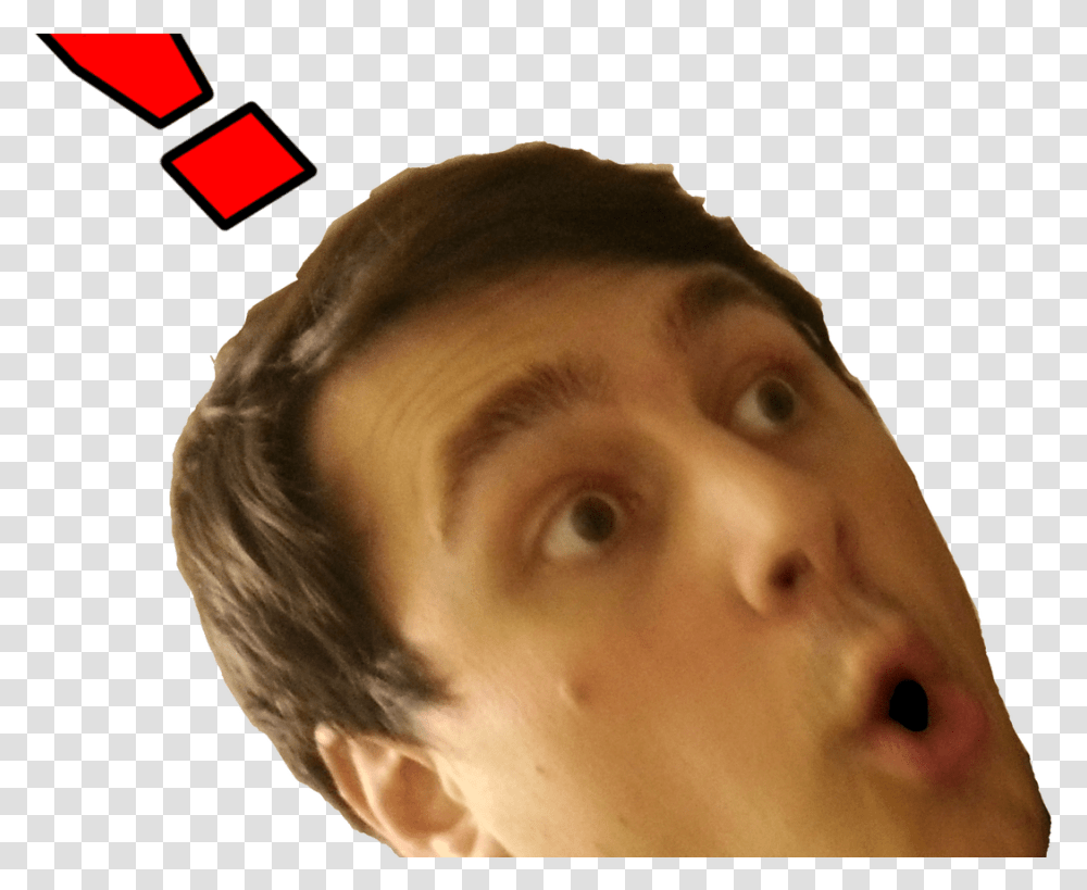Twitch Subscriber Emotes Wequotve Chosen The Faces List Emote Da Twitch, Head, Person, Human, Hair Transparent Png