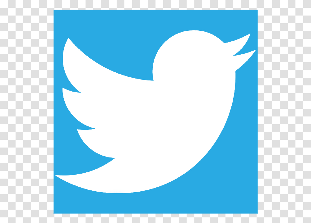 Twiter Twitter Icon, Shark, Sea Life, Fish, Animal Transparent Png