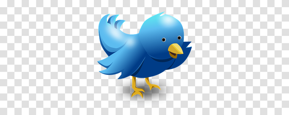 Twitter Animals, Bird, Bluebird, Canary Transparent Png