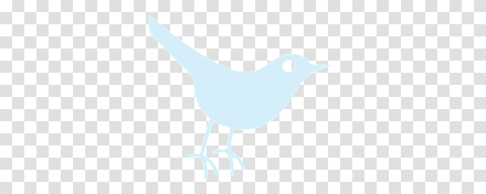 Twitter Animals, Bird, Axe, Tool Transparent Png