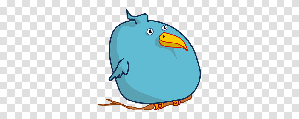Twitter Animals, Beak, Bird, Outdoors Transparent Png