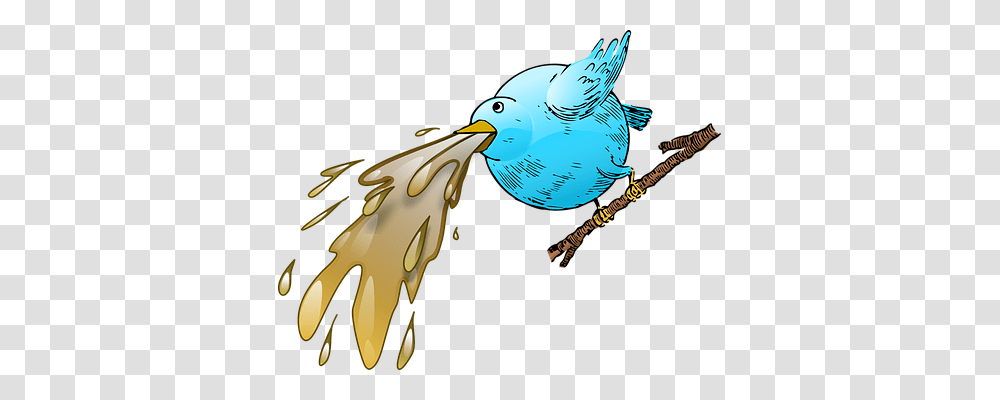 Twitter Animals, Beak, Bird, Bluebird Transparent Png