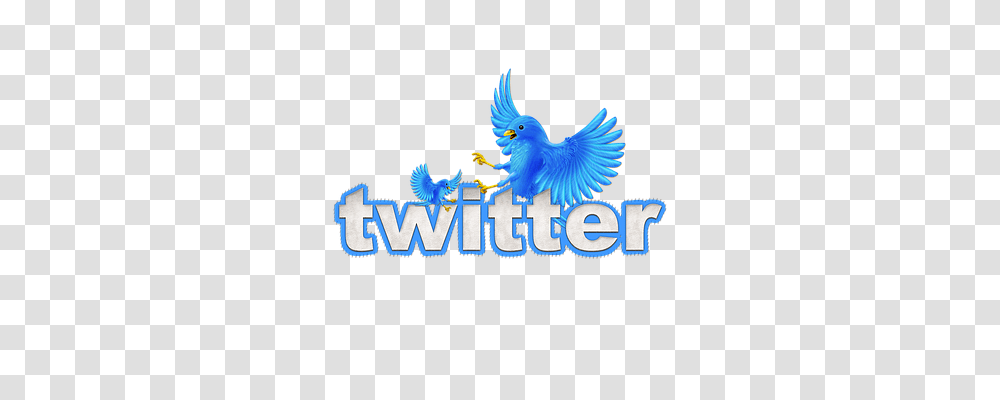 Twitter Animals, Logo, Bird Transparent Png