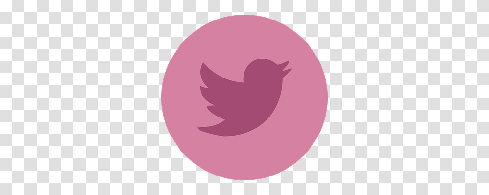 Twitter Face, Smile, Purple Transparent Png