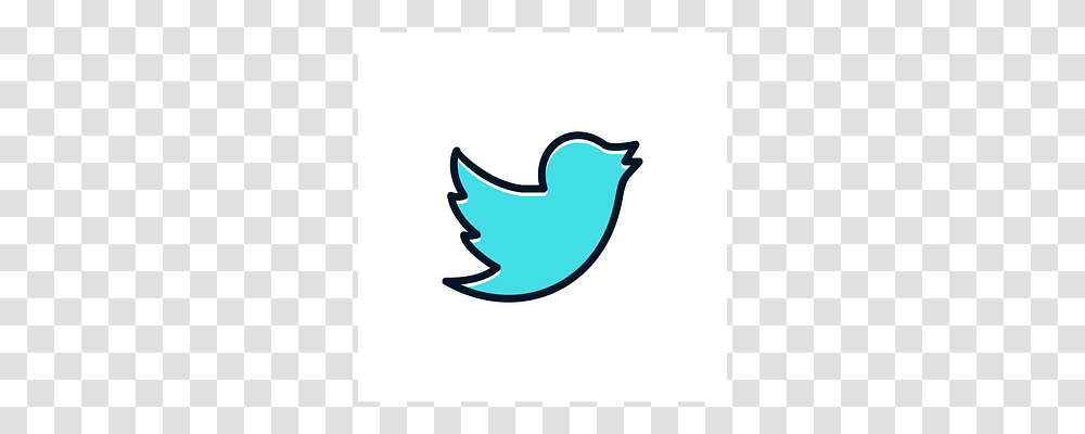 Twitter Logo, Trademark, Bluebird Transparent Png