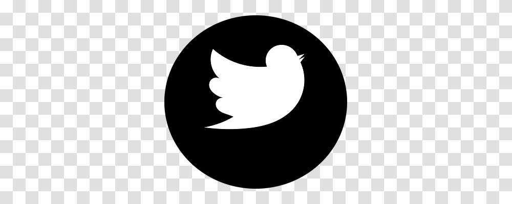 Twitter Bird, Animal, Silhouette, Moon Transparent Png