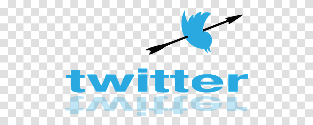Twitter Symbol, Logo, Trademark Transparent Png