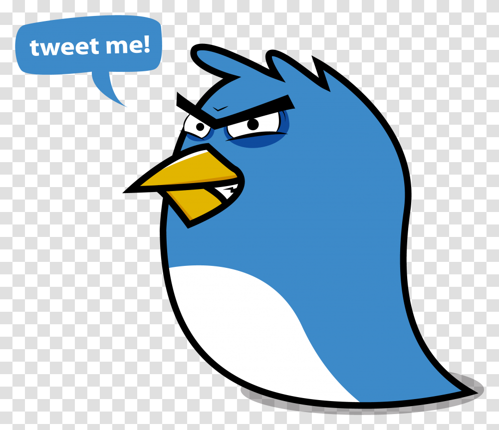 Twitter Analysis Composingdigital Media Vulnerability Funny Twitter Logo, Bird, Animal, Angry Birds, Jay Transparent Png