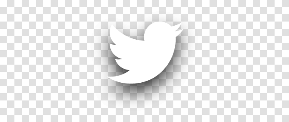 Twitter And Vectors For Free White Twitter Logo, Silhouette, Bird, Animal, Stencil Transparent Png