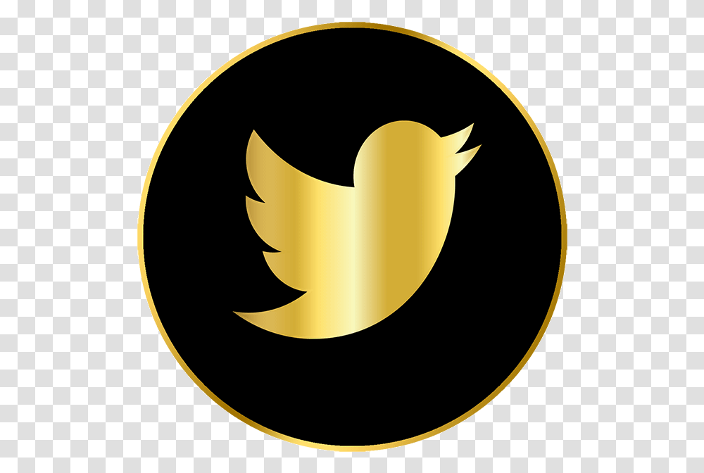 Twitter App Logo Cartoons Twitter Logo 250x250, Trademark, Fire, Flame Transparent Png