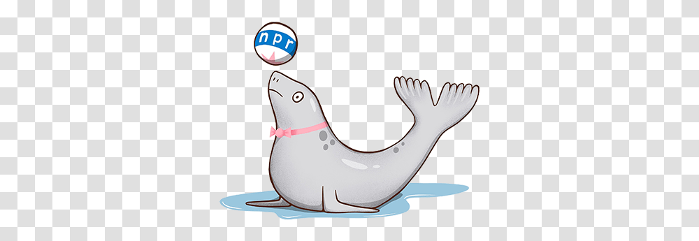 Twitter Basics Hashtags Npr Training How To Change Icon Tumblr 2015, Animal, Sea Life, Shark, Fish Transparent Png