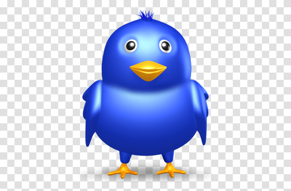 Twitter Bird, Animal, Penguin, Bluebird Transparent Png
