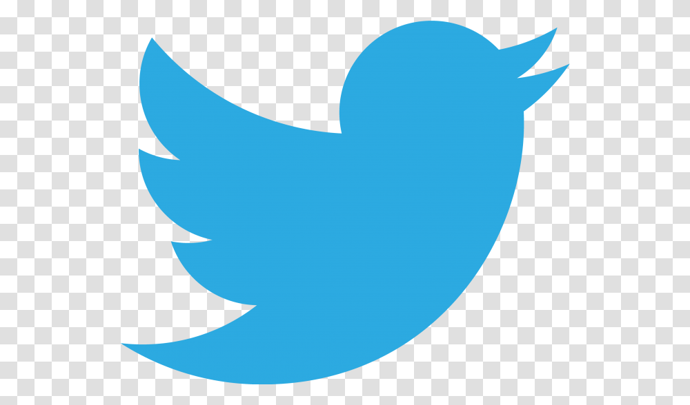 Twitter Bird Background Twitter Vector Logo, Text, Word, Symbol, Face Transparent Png