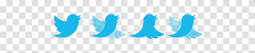 Twitter Bird Cta Animation With A Bouncing Logo And Rolling, Trademark, First Aid Transparent Png
