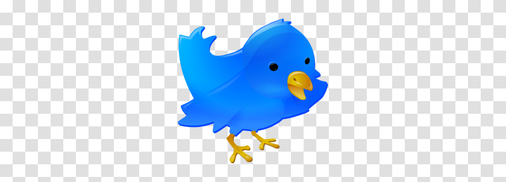 Twitter Bird Free Images, Animal, Shark, Sea Life, Fish Transparent Png