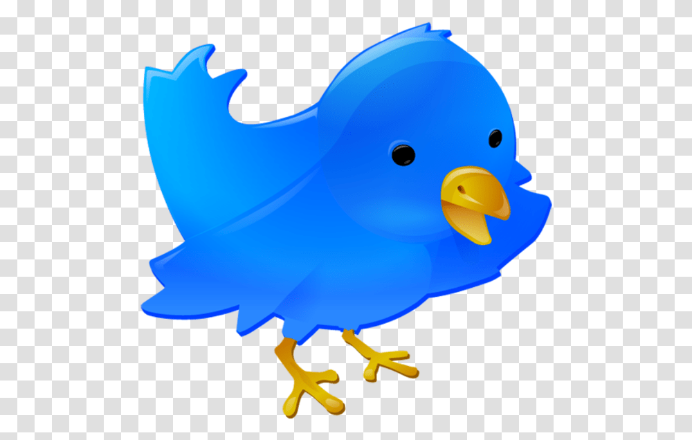 Twitter Bird Free Images At Clker Com Vector Clip Art Blue Twitter Logo Bird, Animal, Shark, Sea Life, Fish Transparent Png