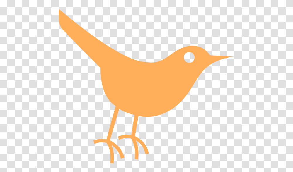 Twitter Bird Icon 299451 Free Icons Library Background Birds Icon, Animal, Canary, Finch Transparent Png