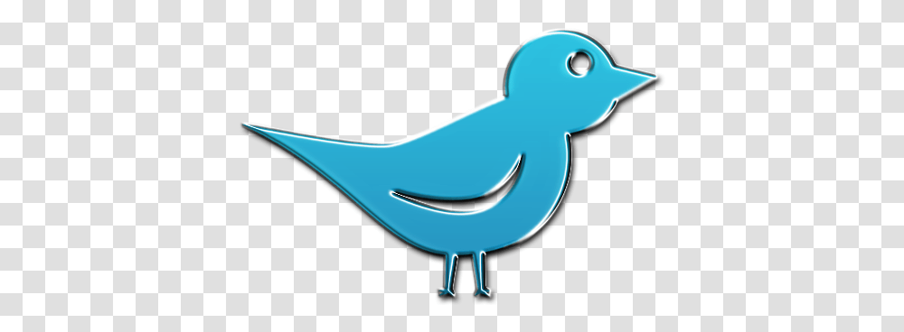 Twitter Bird Icon Clipart Image Icon, Animal, Waterfowl, Seagull, Pelican Transparent Png