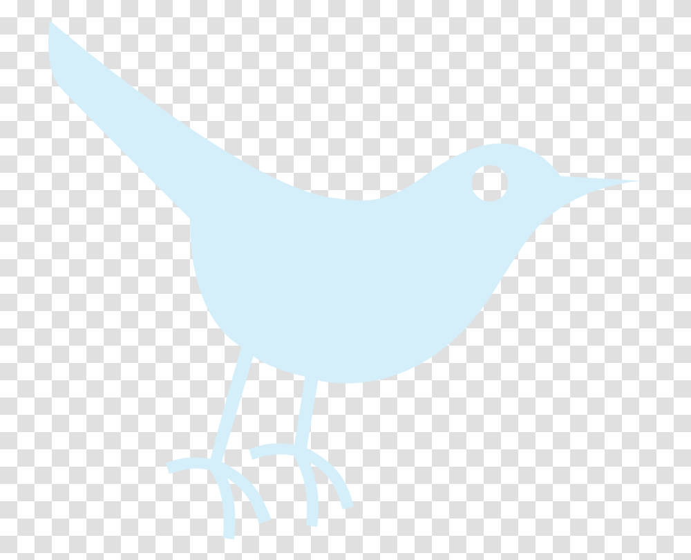 Twitter Bird Icon Cut The Rope Industrial Age, Animal, Canary, Reptile, Dinosaur Transparent Png