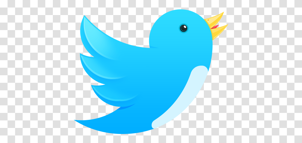 Twitter Bird Icon Twitter Bird Icon, Shark, Sea Life, Fish, Animal Transparent Png