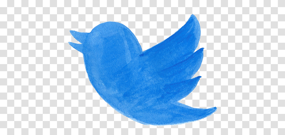 Twitter Bird Katie Rich Story Hitrecord Image Animated Twitter Gif, Pillow, Cushion, Leaf, Plant Transparent Png