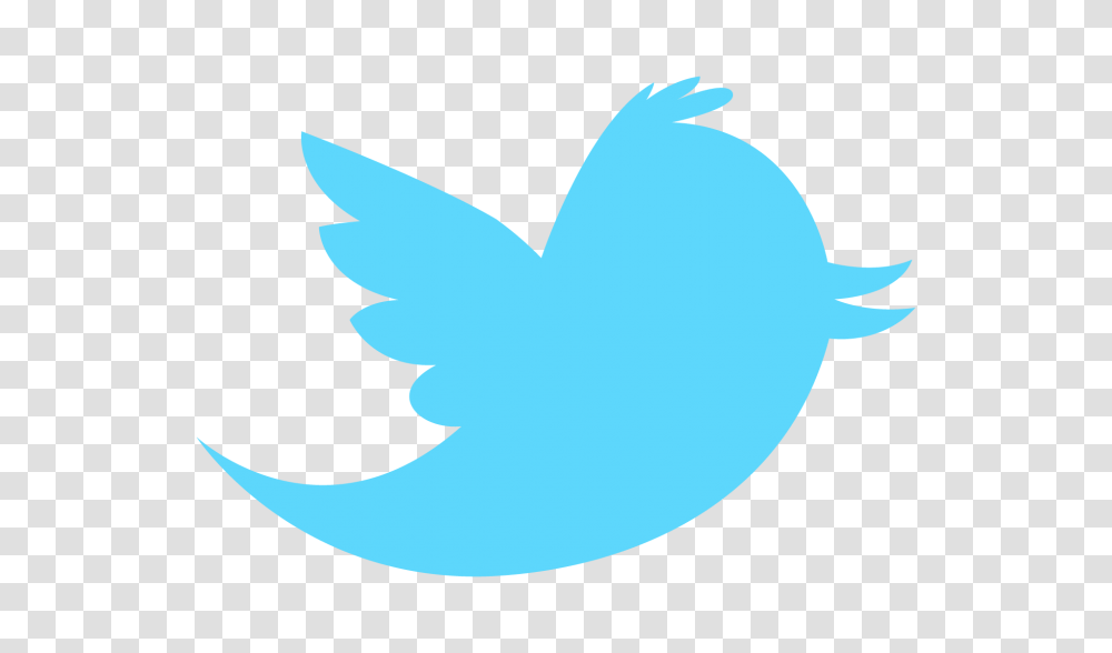 Twitter Bird Logo Background Twitter Icon, Shark, Fish, Animal, Symbol Transparent Png