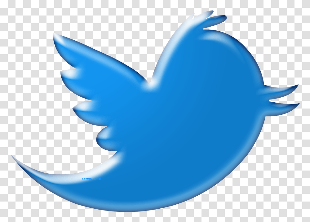 Twitter Bird Logo Background Vector, Shark, Sea Life, Fish, Animal Transparent Png