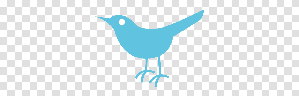 Twitter Bird Logo Twitter Bird Icon, Animal Transparent Png