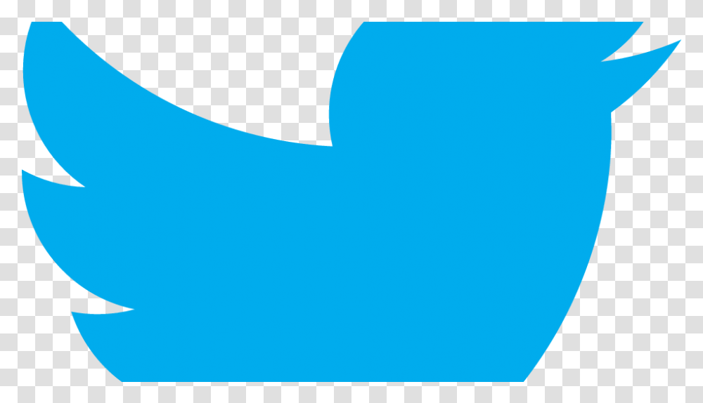 Twitter Bird Logo Twitter Logo In Only, Face, Animal, Photography Transparent Png