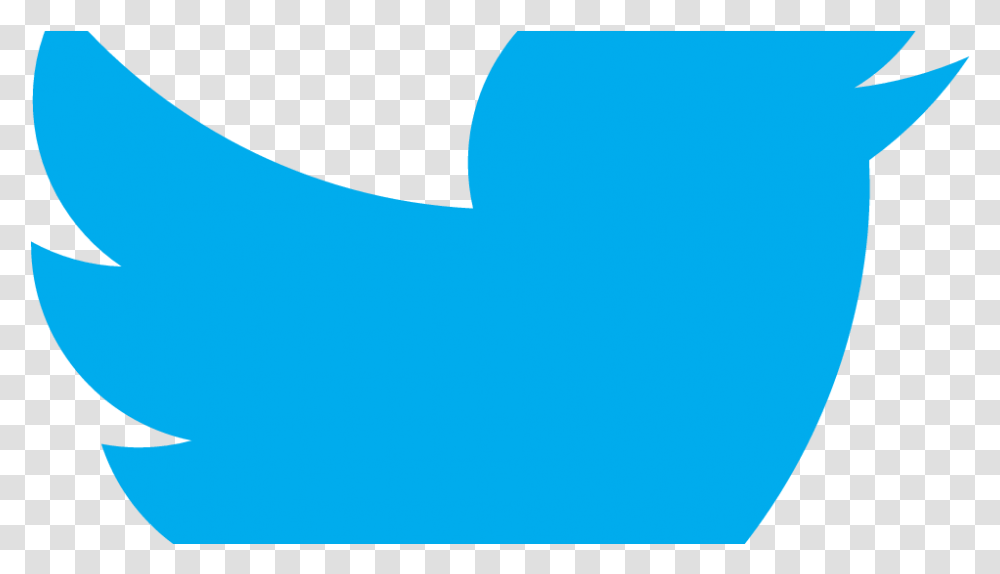 Twitter Logo Png Images For Free Download Pngset Com