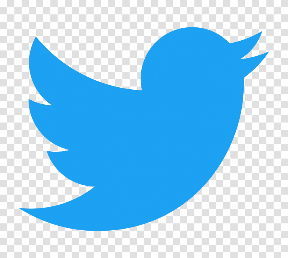 Twitter Bird Logo Twitter Svg, Label, Text, Shark, Animal Transparent Png