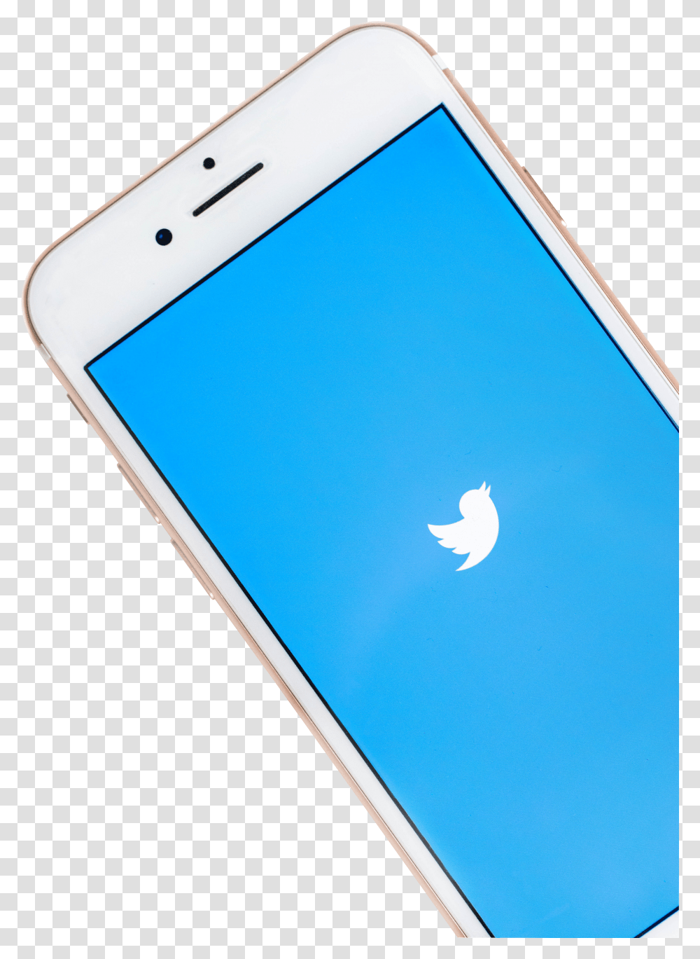 Twitter Bird On Phone Transparent Png