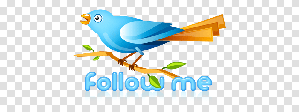 Twitter Bird Psd Icon Twitter, Bluebird, Animal, Jay, Blue Jay Transparent Png
