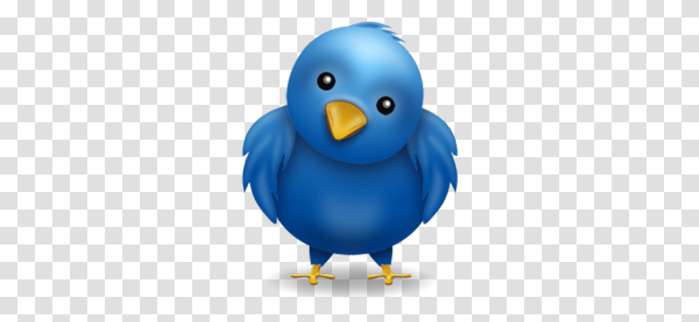 Twitter Bird The Bibliotaphe Closet Twitter Bird Face, Animal, Duck, Beak, Toy Transparent Png