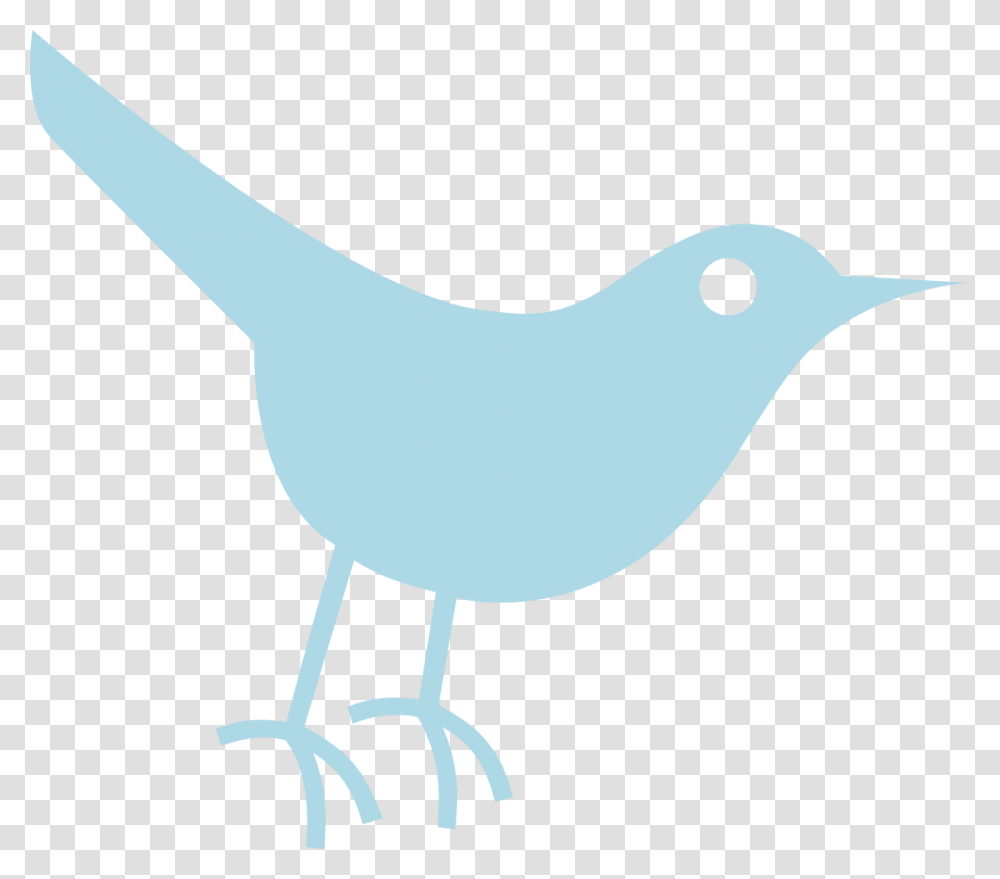 Twitter Bird Tweet Tweet 28 999px Social Media, Animal, Skin, Jay Transparent Png
