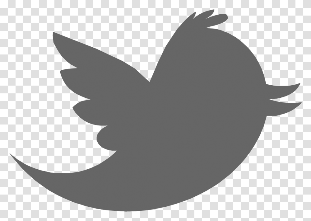 Twitter Bird - Sarah K Peck Twitter Logo For Photoshop, Animal, Symbol, Shark, Sea Life Transparent Png