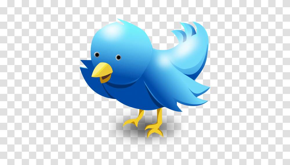 Twitter Bird Vector Image, Animal, Canary, Eagle Transparent Png