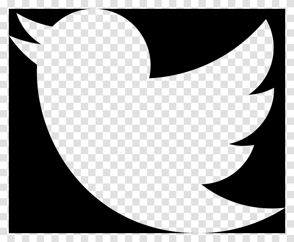 Twitter Bird White Background, Label, Sticker Transparent Png