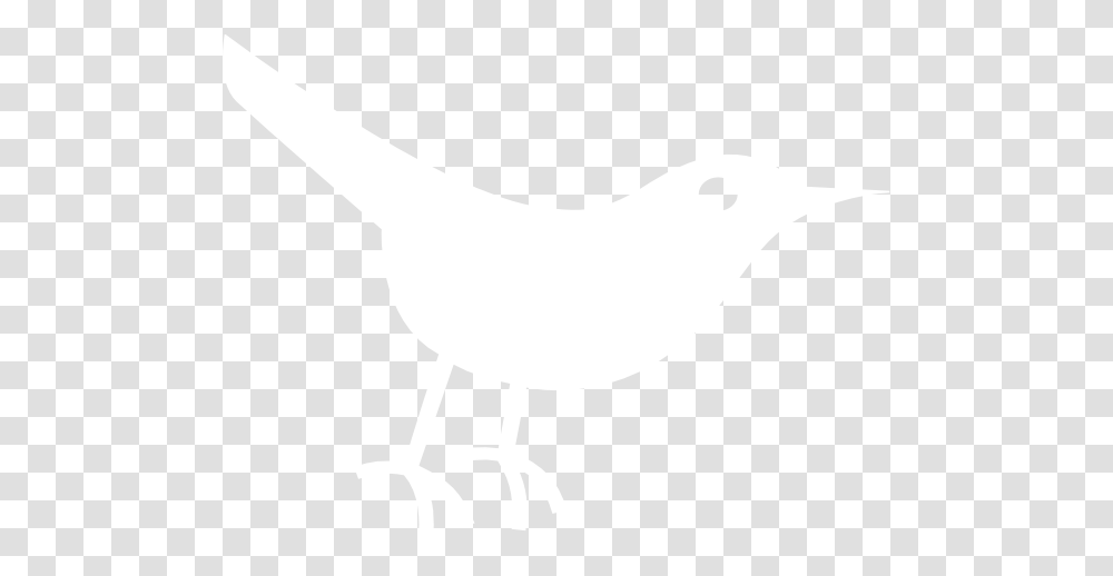 Twitter Bird White Clip Art Vector Clip Art Twitter Bird Icon, Animal, Beak Transparent Png