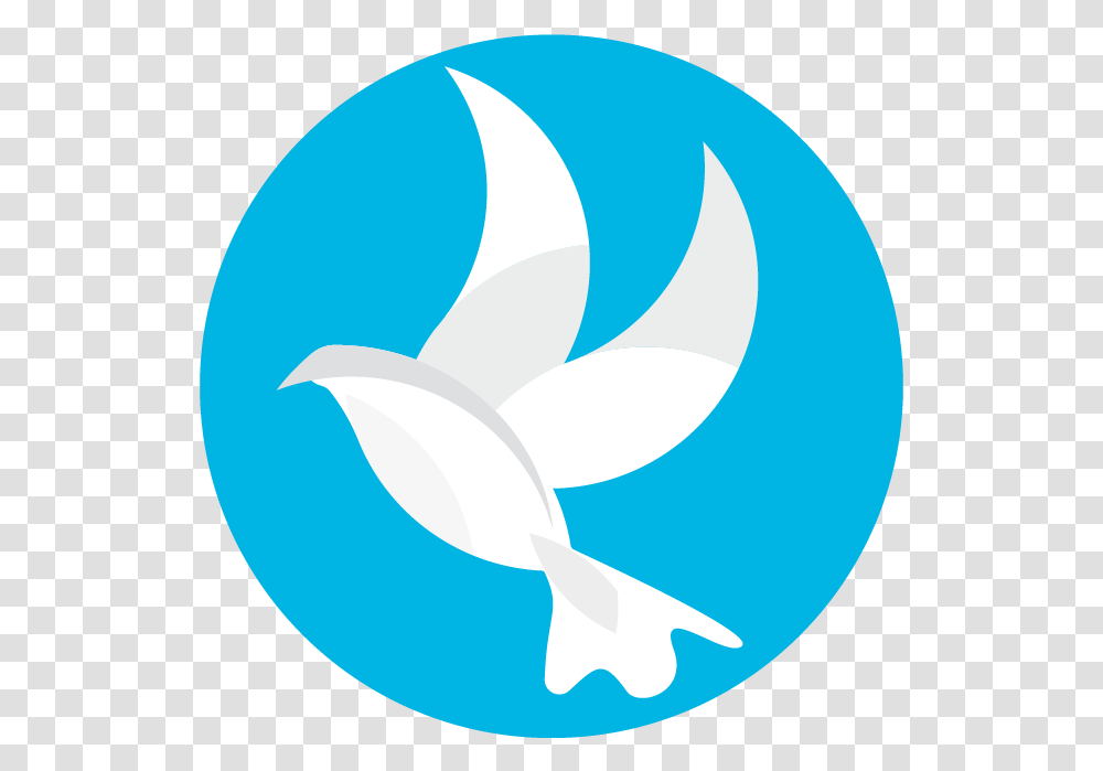 Twitter Circle Icon Download Circle Twitter Logo, Animal, Bird, Outdoors, Symbol Transparent Png