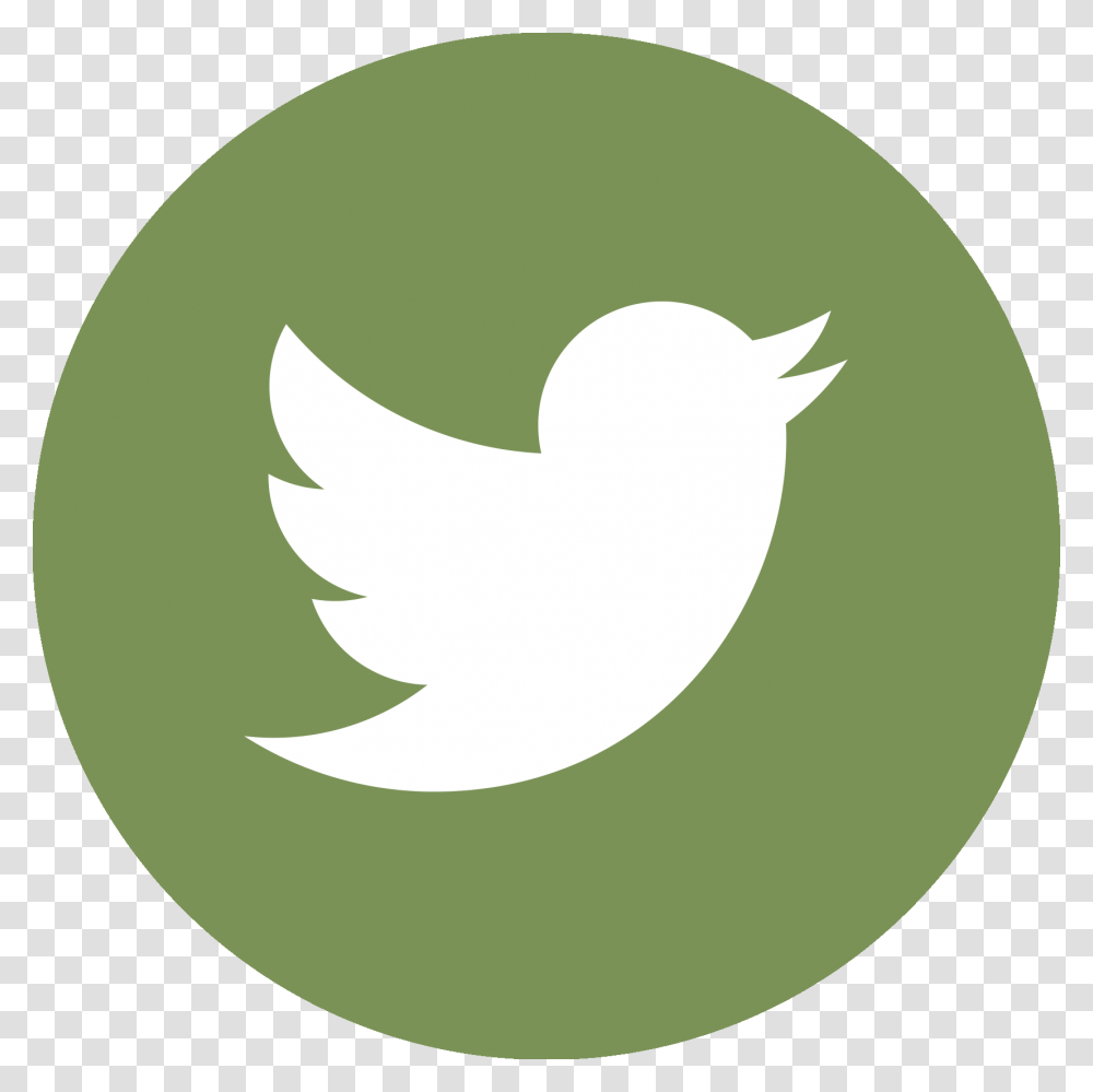 Twitter Circle Logo Vector Download Round Twitter Logo Svg, Bird, Animal, Painting Transparent Png