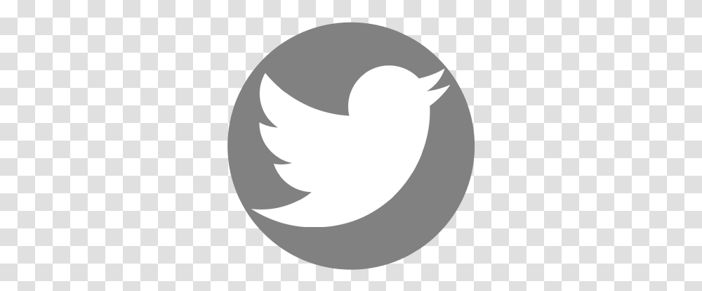 Twitter Circle Twitter, Logo, Symbol, Trademark, Text Transparent Png