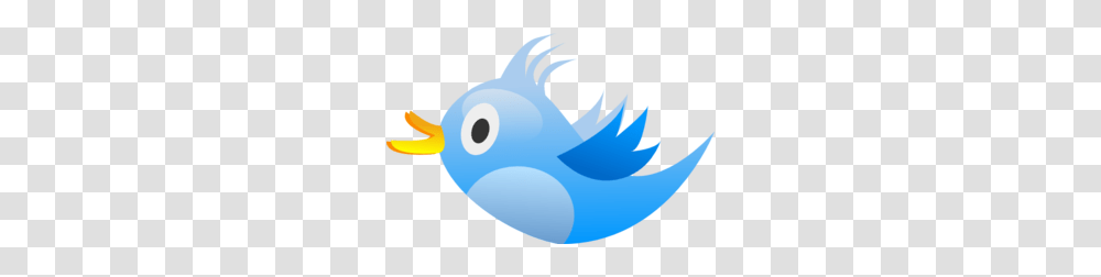 Twitter Clip Art, Animal, Bird, Outdoors, Sea Life Transparent Png