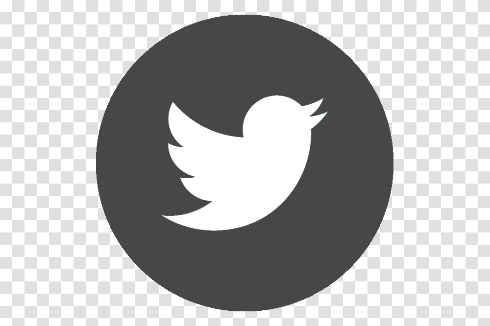 Twitter Flat Icon, Logo, Trademark, Bird Transparent Png