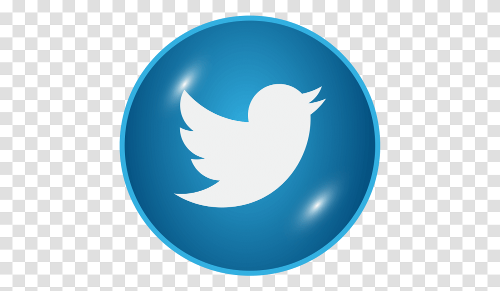 Twitter Glossy Icon Image Free Museum Park, Ball, Balloon, Logo, Symbol Transparent Png