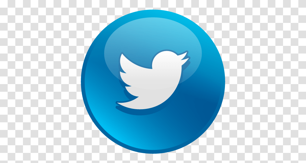 Twitter Glossysocialiconspng31 - All4maternity Icon Social Twitter, Animal, Bird, Sphere, Jay Transparent Png